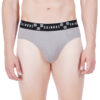 Skinous Brief Ew Grey Normal Fit