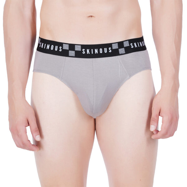 Skinous Brief Ew Grey Normal Fit