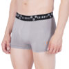 Skinous Trunk Top Elastic Light Grey Cozy Fit