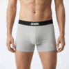 mens trunk ew grey