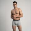 skinous mens trunk ew grey